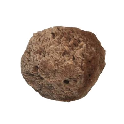 EPONGE DE MER N°28 DIA 11CM