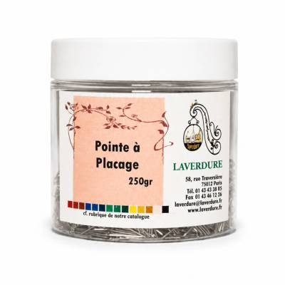 BTE PM POINTES A PLACAGE 250GR